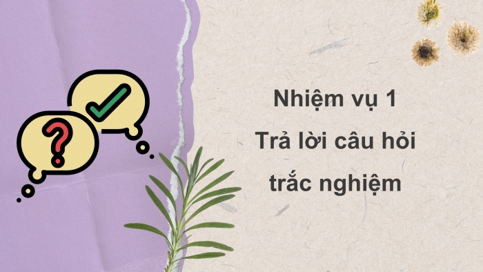 Giáo án PPT dạy thêm Ngữ văn 12 chân trời Bài 7: Áo dài đầu thế kỉ XX (Đoàn Thị Tình)