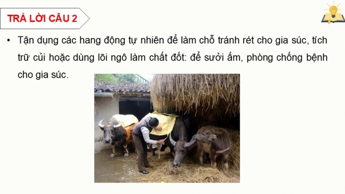 Giáo án điện tử chuyên đề Sinh học 12 chân trời Ôn tập CĐ 3