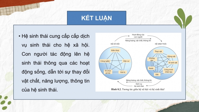 Giáo án điện tử chuyên đề Sinh học 12 cánh diều Bài 8: Sinh thái nhân văn và phát triển bền vững