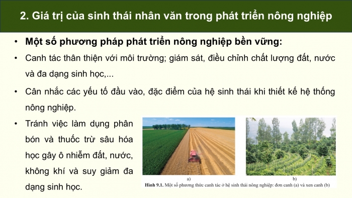 Giáo án điện tử chuyên đề Sinh học 12 cánh diều Bài 9: Một số lĩnh vực của sinh thái nhân văn