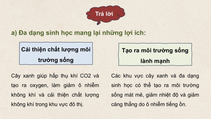 Giáo án điện tử chuyên đề Sinh học 12 cánh diều Ôn tập CĐ 3