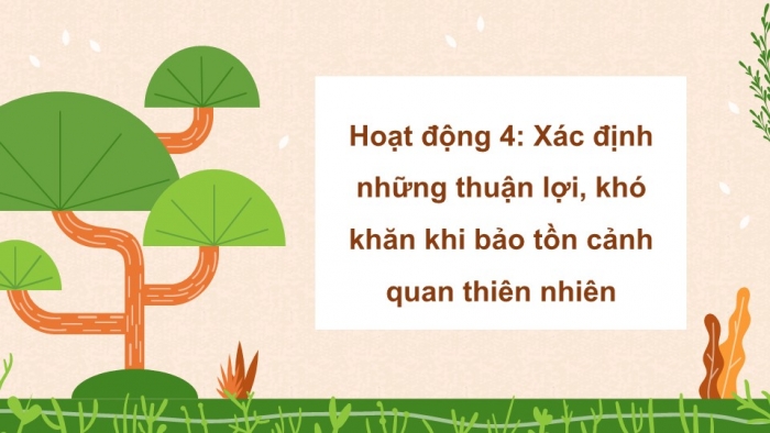 Giáo án điện tử Hoạt động trải nghiệm 5 chân trời bản 1 Chủ đề 8 Tuần 29