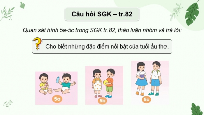 Giáo án điện tử Khoa học 5 chân trời Bài 24: Các giai đoạn phát triển của con người