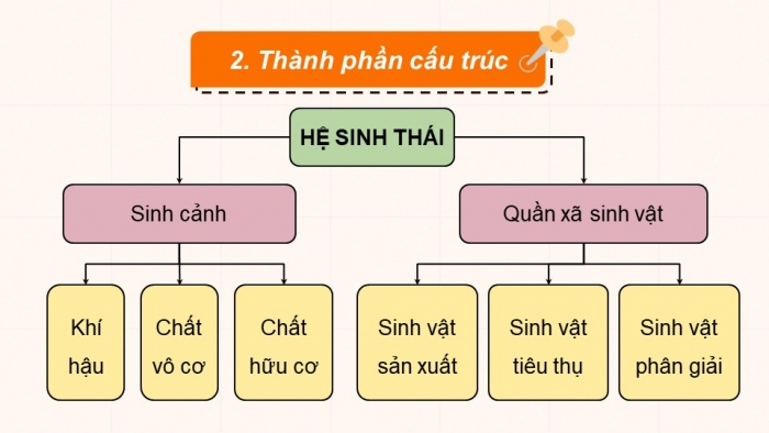 Giáo án điện tử Sinh học 12 kết nối Bài 28: Hệ sinh thái