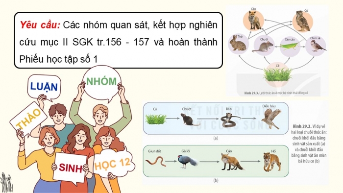 Giáo án điện tử Sinh học 12 kết nối Bài 29: Trao đổi vật chất và chuyển hoá năng lượng trong hệ sinh thái