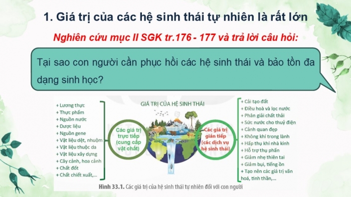 Giáo án điện tử Sinh học 12 kết nối Bài 33: Sinh thái học phục hồi và bảo tồn đa dạng sinh vật