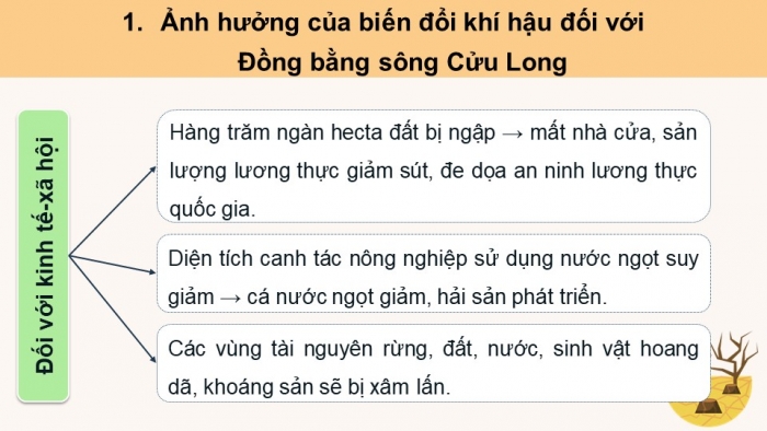 Giáo án điện tử Địa lí 12 cánh diều Bài 26: Thực hành Tìm hiểu ảnh hưởng của biến đổi khí hậu đối với Đồng bằng sông Cửu Long và các biện pháp ứng phó