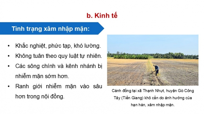 Giáo án điện tử Địa lí 9 cánh diều Bài 19: Thực hành Phân tích tác động của biến đổi khí hậu ở Đồng bằng sông Cửu Long