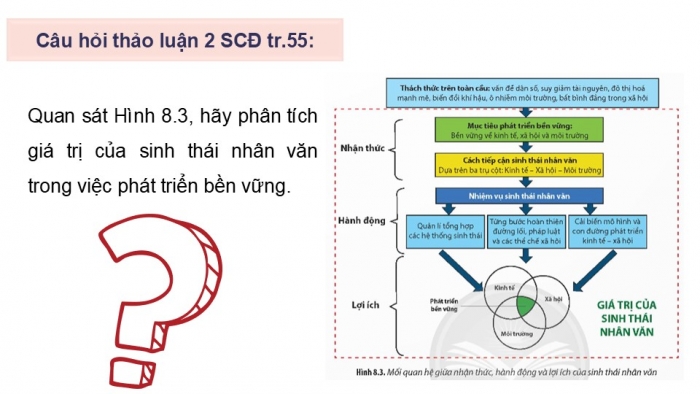 Giáo án điện tử chuyên đề Sinh học 12 chân trời Bài 8: Khái niệm và giá trị của sinh thái nhân văn