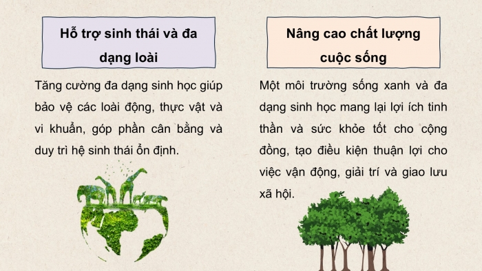 Giáo án điện tử chuyên đề Sinh học 12 cánh diều Ôn tập CĐ 3