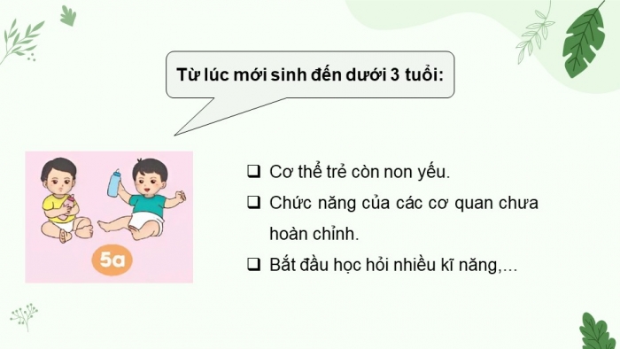 Giáo án điện tử Khoa học 5 chân trời Bài 24: Các giai đoạn phát triển của con người