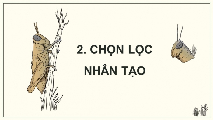 Giáo án điện tử KHTN 9 chân trời - Phân môn Sinh học Bài 46: Khái niệm về tiến hóa và các hình thức chọn lọc