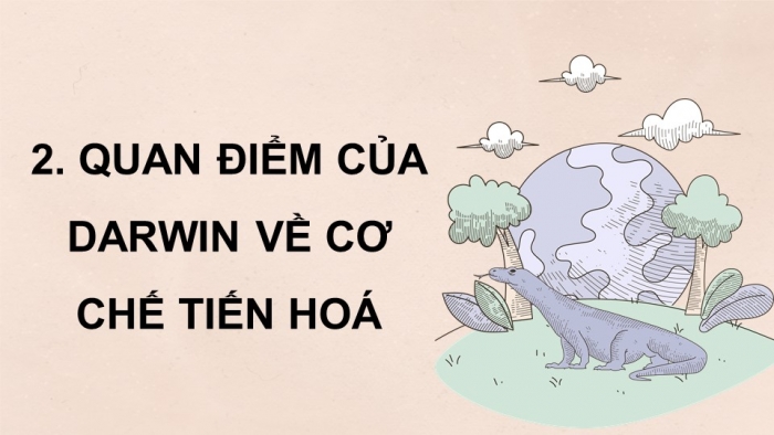 Giáo án điện tử KHTN 9 chân trời - Phân môn Sinh học Bài 47: Cơ chế tiến hóa