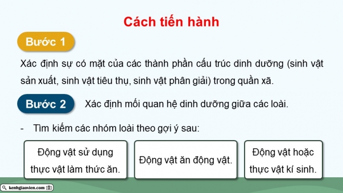 Giáo án điện tử Sinh học 12 kết nối Bài 27: Thực hành Tìm hiểu cấu trúc dinh dưỡng của quần xã trong tự nhiên