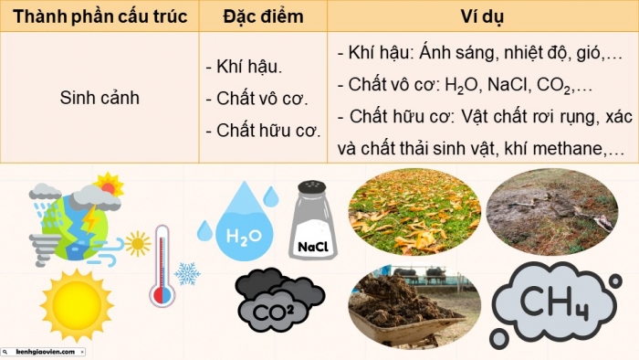 Giáo án điện tử Sinh học 12 kết nối Bài 28: Hệ sinh thái