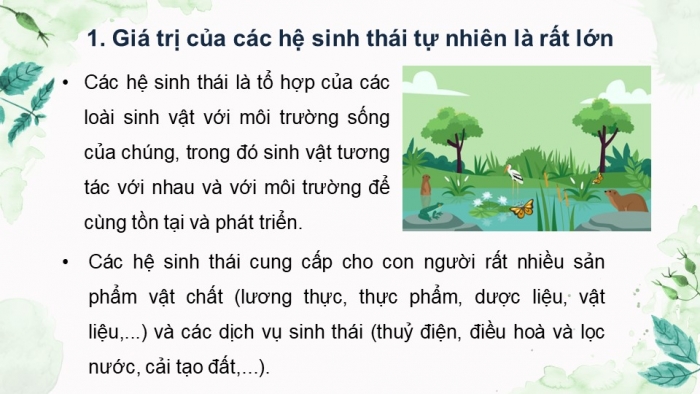 Giáo án điện tử Sinh học 12 kết nối Bài 33: Sinh thái học phục hồi và bảo tồn đa dạng sinh vật