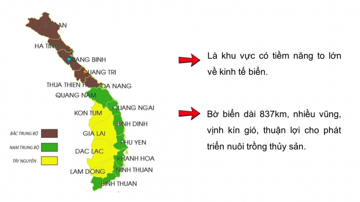 Giáo án điện tử Địa lí 12 chân trời Bài 29: Thực hành Tìm hiểu ý nghĩa của phát triển kinh tế biển đối với an ninh quốc phòng ở Duyên hải Nam Trung Bộ