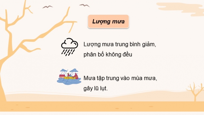 Giáo án điện tử Địa lí 12 chân trời Bài 35: Thực hành Tìm hiểu về biến đổi khí hậu ở Đồng bằng sông Cửu Long