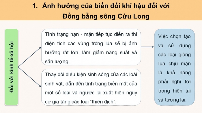 Giáo án điện tử Địa lí 12 cánh diều Bài 26: Thực hành Tìm hiểu ảnh hưởng của biến đổi khí hậu đối với Đồng bằng sông Cửu Long và các biện pháp ứng phó