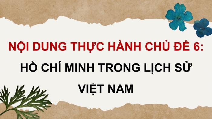 Giáo án điện tử Lịch sử 12 cánh diều Thực hành Chủ đề 6