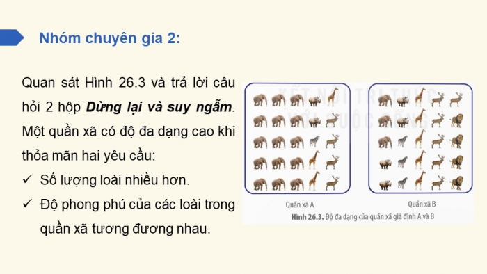 Giáo án điện tử Sinh học 12 kết nối Bài 26: Quần xã sinh vật