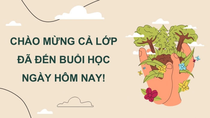 Giáo án điện tử Khoa học 5 chân trời Bài 29: Tác động của con người đến môi trường