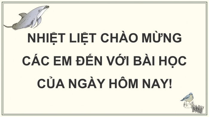 Giáo án điện tử KHTN 9 chân trời - Phân môn Sinh học Bài 46: Khái niệm về tiến hóa và các hình thức chọn lọc