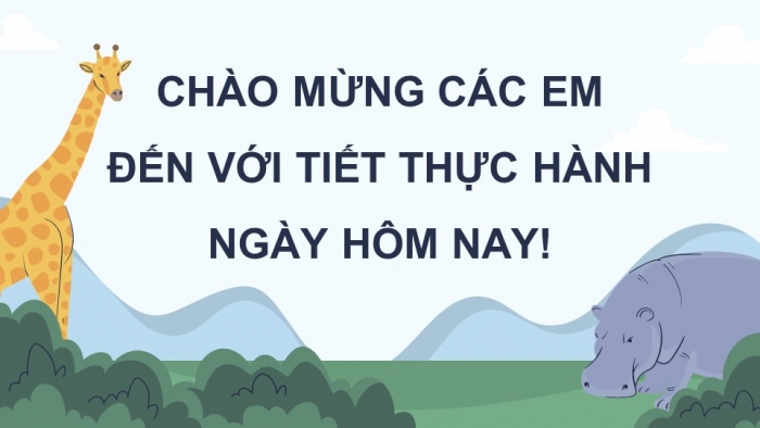 Giáo án điện tử Sinh học 12 kết nối Bài 27: Thực hành Tìm hiểu cấu trúc dinh dưỡng của quần xã trong tự nhiên