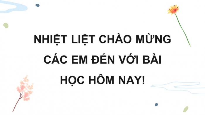 Giáo án điện tử Sinh học 12 kết nối Bài 34: Phát triển bền vững