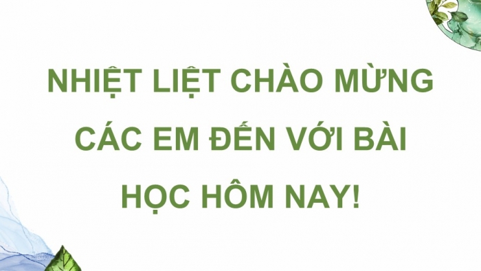 Giáo án điện tử Sinh học 12 kết nối Bài 35: Dự án Tìm hiểu thực trạng bảo tồn sinh thái tại địa phương và đề xuất giải pháp bảo tồn