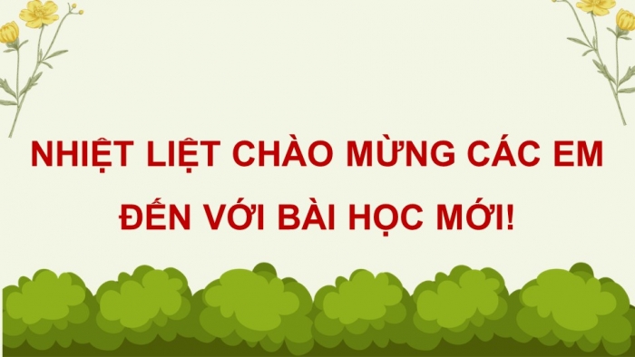 Giáo án điện tử Ngữ văn 12 chân trời Bài 9: Viết báo cáo kết quả nghiên cứu về một vấn đề tự nhiên hoặc xã hội