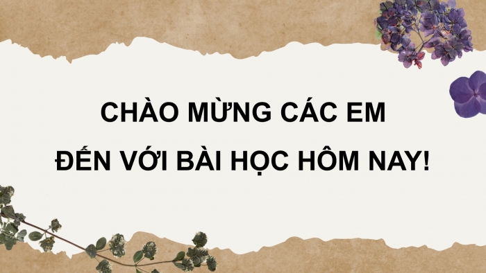 Giáo án điện tử Lịch sử 12 kết nối Thực hành Chủ đề 6