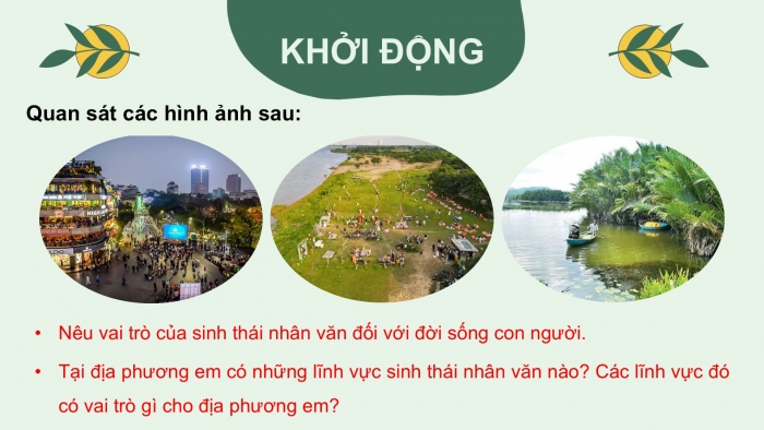 Giáo án điện tử chuyên đề Sinh học 12 cánh diều Bài 10: Dự án điều tra về sinh thái nhân văn