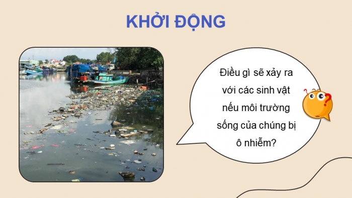 Giáo án điện tử Khoa học 5 chân trời Bài 29: Tác động của con người đến môi trường