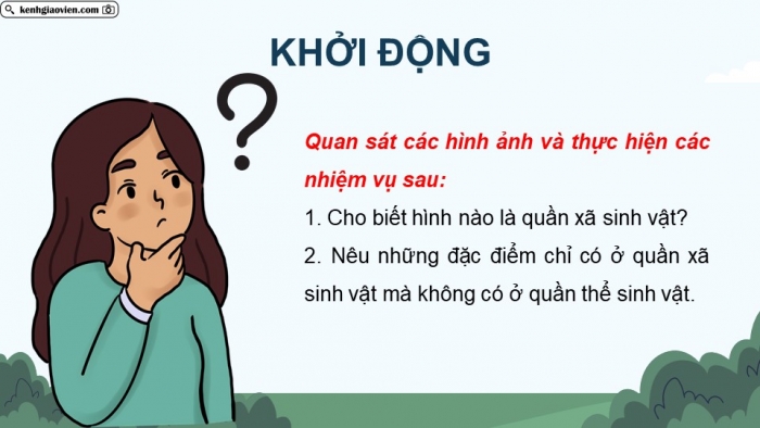 Giáo án điện tử Sinh học 12 kết nối Bài 27: Thực hành Tìm hiểu cấu trúc dinh dưỡng của quần xã trong tự nhiên