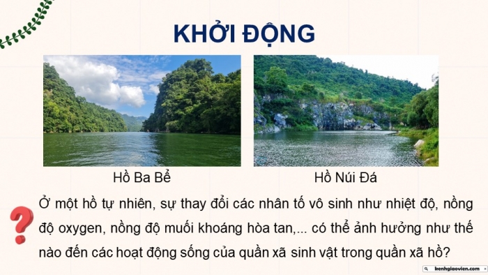 Giáo án điện tử Sinh học 12 kết nối Bài 28: Hệ sinh thái