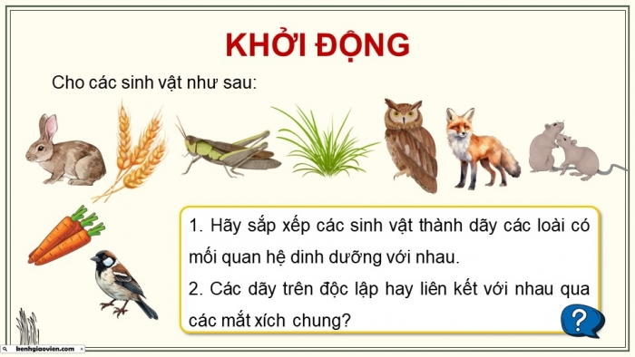 Giáo án điện tử Sinh học 12 kết nối Bài 29: Trao đổi vật chất và chuyển hoá năng lượng trong hệ sinh thái