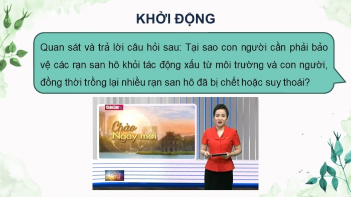 Giáo án điện tử Sinh học 12 kết nối Bài 33: Sinh thái học phục hồi và bảo tồn đa dạng sinh vật