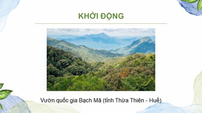 Giáo án điện tử Sinh học 12 kết nối Bài 35: Dự án Tìm hiểu thực trạng bảo tồn sinh thái tại địa phương và đề xuất giải pháp bảo tồn