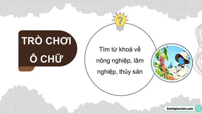 Giáo án điện tử Địa lí 12 chân trời Bài 31: Thực hành Tìm hiểu ý nghĩa của phát triển kinh tế – xã hội đối với an ninh quốc phòng ở Tây Nguyên