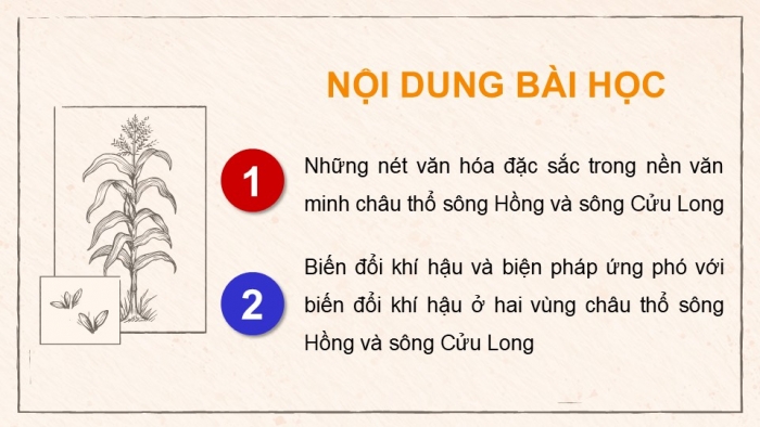 Giáo án điện tử Địa lí 9 chân trời Chủ đề chung 2: Văn minh châu thổ sông Hồng và sông Cửu Long (P2)