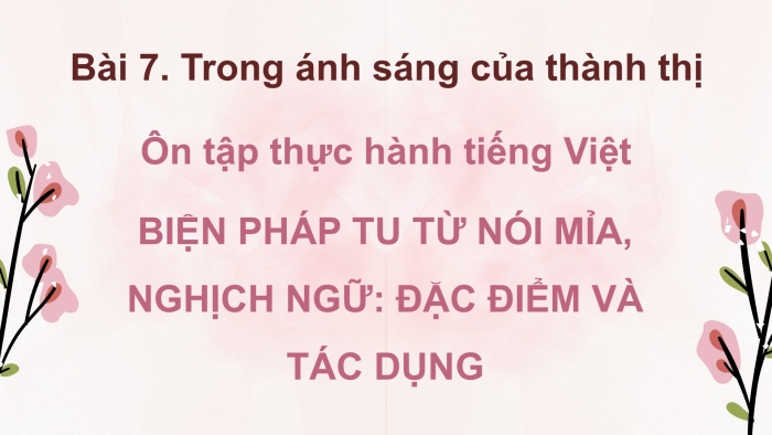 Giáo án PPT dạy thêm Ngữ văn 12 chân trời Bài 7: Ôn tập thực hành tiếng Việt