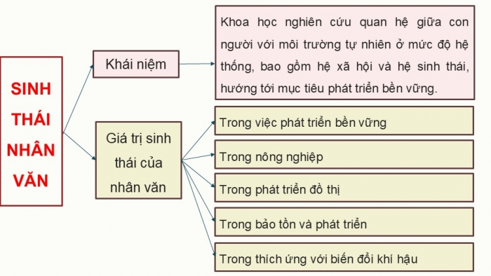 Giáo án điện tử chuyên đề Sinh học 12 chân trời Ôn tập CĐ 3