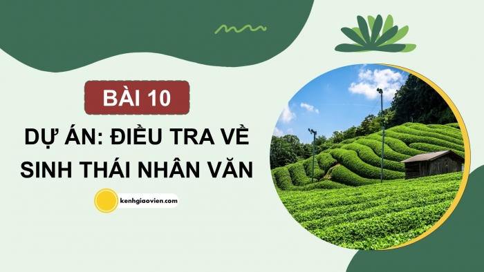 Giáo án điện tử chuyên đề Sinh học 12 cánh diều Bài 10: Dự án điều tra về sinh thái nhân văn