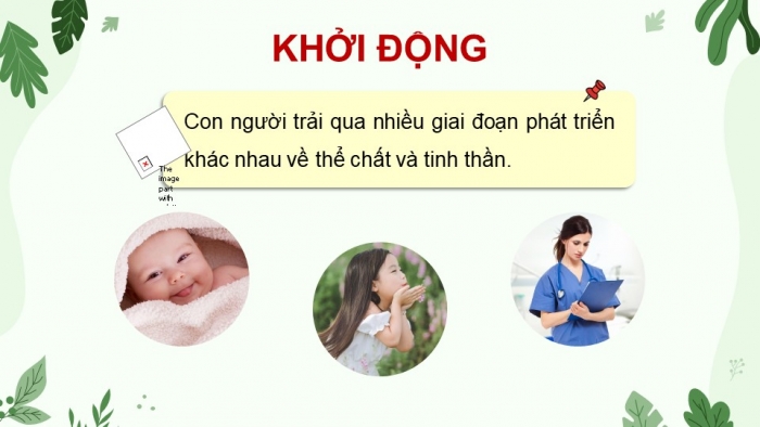 Giáo án điện tử Khoa học 5 chân trời Bài 24: Các giai đoạn phát triển của con người