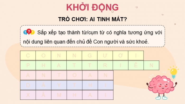 Giáo án điện tử Khoa học 5 chân trời Bài 27: Ôn tập chủ đề Con người và sức khỏe