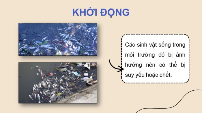 Giáo án điện tử Khoa học 5 chân trời Bài 29: Tác động của con người đến môi trường