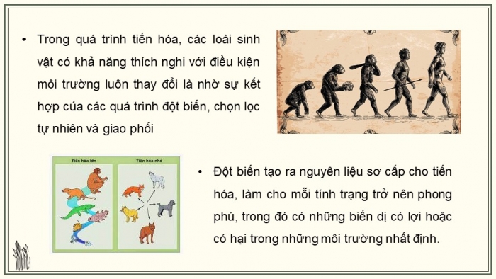 Giáo án điện tử KHTN 9 chân trời - Phân môn Sinh học Bài 46: Khái niệm về tiến hóa và các hình thức chọn lọc