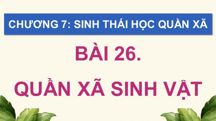 Giáo án điện tử Sinh học 12 kết nối Bài 26: Quần xã sinh vật