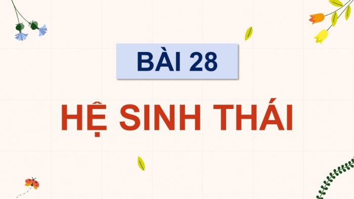 Giáo án điện tử Sinh học 12 kết nối Bài 28: Hệ sinh thái